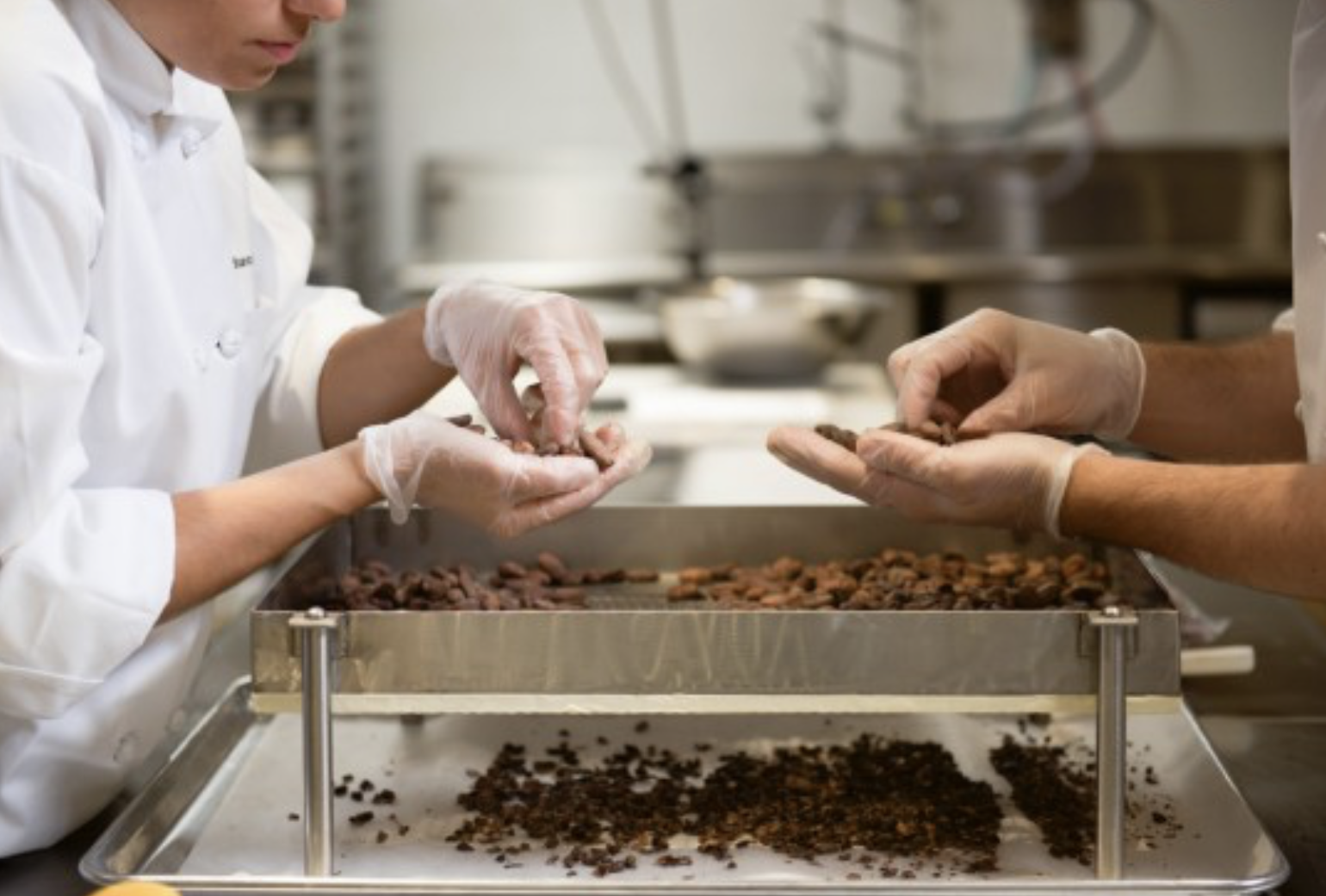 Bean-to-Bar Process